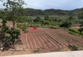 Terreno no urbanizable en venta en la España, Alfara de Carles, ref: TR314046 foto