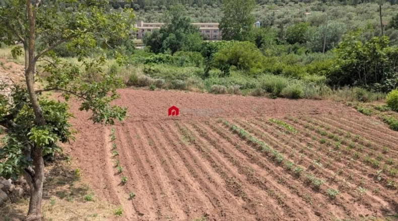 Tarragona - Альфара де Карлес - 714m2