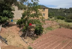 Foto 14