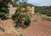 Terreno no urbanizable en venta en la España, Alfara de Carles, ref: TR314046 foto