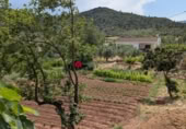 Terreno no urbanizable en venta en la España, Alfara de Carles, ref: TR314046 foto