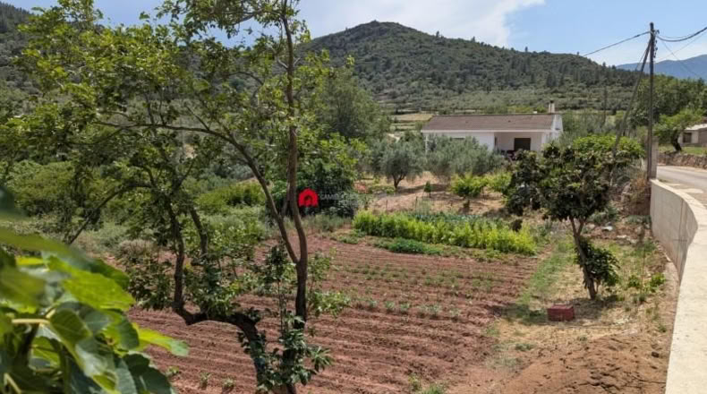 Tarragona - Альфара де Карлес - 714m2