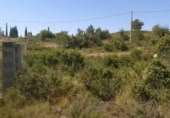 Non-developable land for sale on España, Benaguasil, ref: TR319888 photo