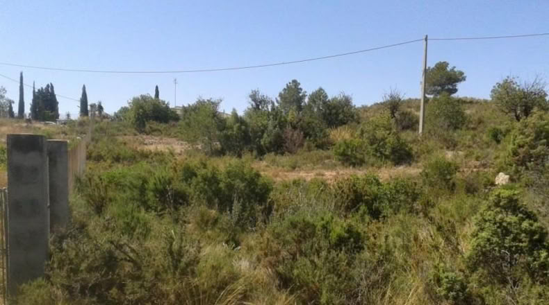 Alicante - Dolores - 2733m2