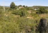 Non-developable land for sale on España, Benaguasil, ref: TR319888 photo