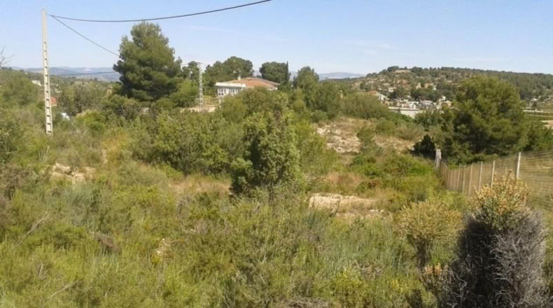 Alicante - Dolores - 2733m2