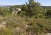 Non-developable land for sale on España, Benaguasil, ref: TR319888 photo