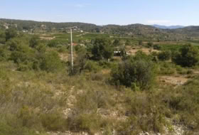 Foto 13