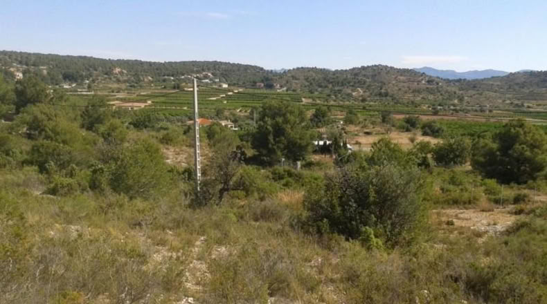 Alicante - Dolores - 2733m2