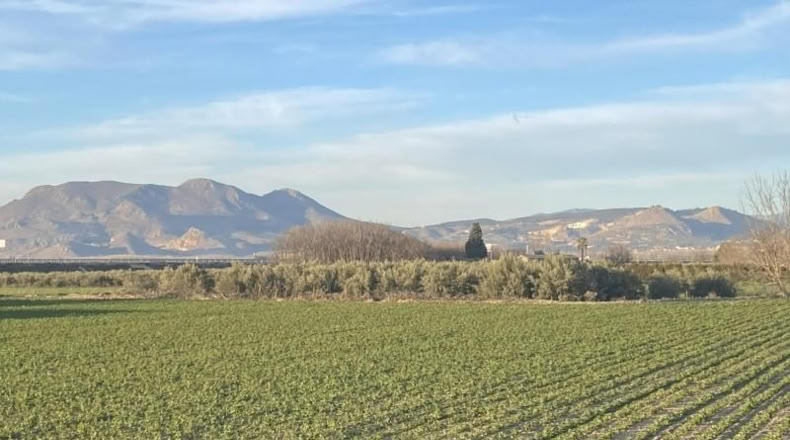 Granada - Белисена - 1585m2