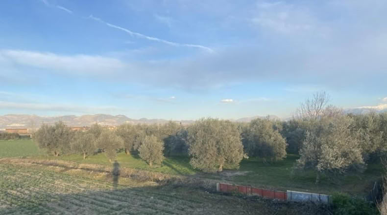 Granada - Белисена - 1585m2