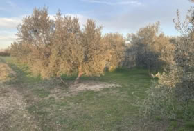 Foto 13