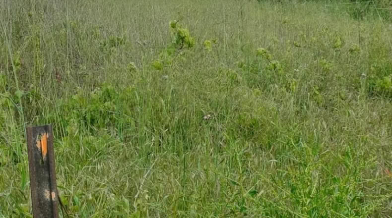León - Camponaraya - 2m2