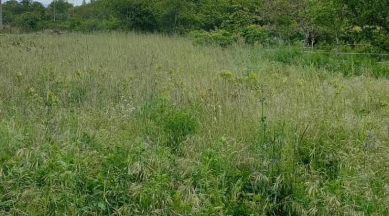 León - Camponaraya - 2m2
