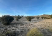 Non-developable land for sale on España, Carabaña, ref: TR310228 photo