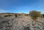 Non-developable land for sale on España, Carabaña, ref: TR310228 photo