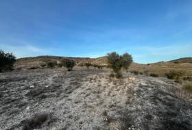 Foto 8