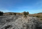 Non-developable land for sale on España, Carabaña, ref: TR310228 photo