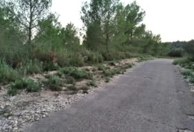 Castelló de la Plana 13000&nbsp;m² 