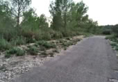 Terreny no urbanitzable en venda a la España, Castelló de la Plana, ref.: TR319356 foto