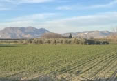Detached villa with land for sale on España, Belicena, ref: TR294326 photo