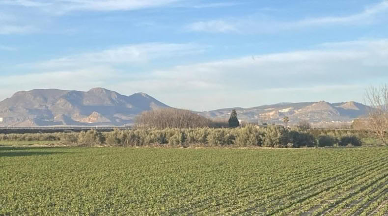 Granada - Белисена - 1585m2