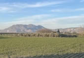 Detached villa with land for sale on España, Belicena, ref: TR294326 photo