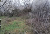 Non-developable land for sale on España, Ponferrada, ref: TR117455 photo