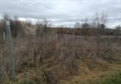 Non-developable land for sale on España, Ponferrada, ref: TR117455 photo