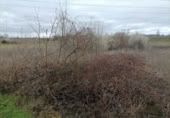 Non-developable land for sale on España, Ponferrada, ref: TR117455 photo