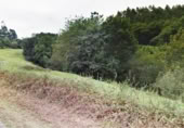 Non-developable land for sale on España, Santa María de Cayón, ref: TR117571 photo