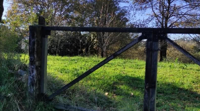 Asturias - Oviedo - 800m2