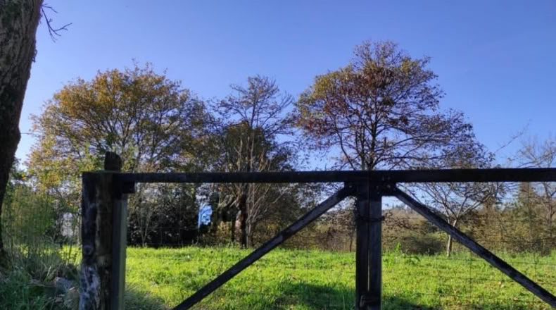 Asturias - Oviedo - 800m2