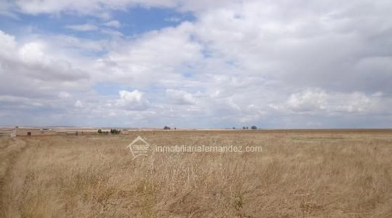 Cáceres - Sierra de Fuentes - 4000m2