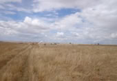 Land suitable for development for sale on España, Sierra de Fuentes, ref: TR135910 photo