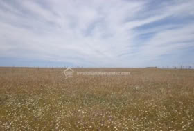 Sierra de Fuentes 11300&nbsp;m²