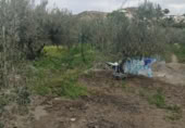 Casa de camp amb terreny en venda a la España, Alsodux, ref.: TR304021 foto
