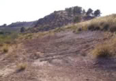 Terreny no urbanitzable en venda a la España, Calasparra, ref.: TR119429 foto