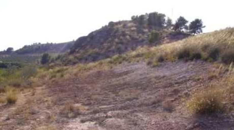 Múrcia - Calasparra - 5000m2