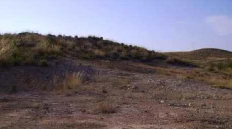 Múrcia - Calasparra - 5000m2