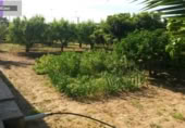 Non-developable land for sale on España, Godelleta, ref: TR114292 photo