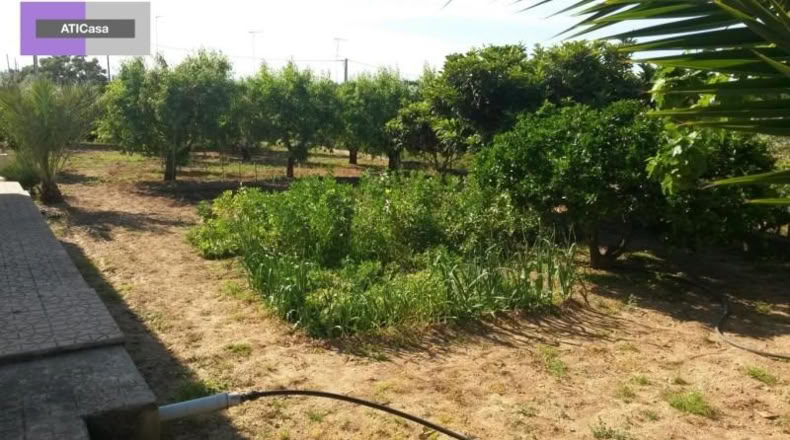 Almeria - Olula del Río - 3759m2