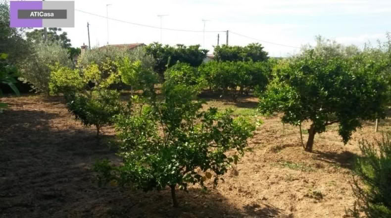 Almeria - Olula del Río - 3759m2