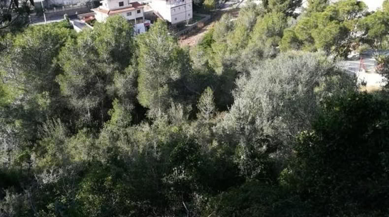 Barcelona - la Gornal - 604m2
