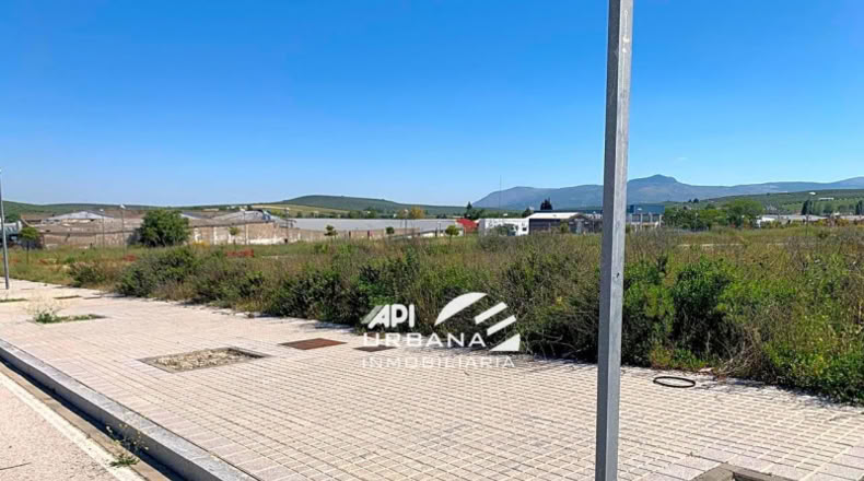 Córdoba - Lucena - 165m2