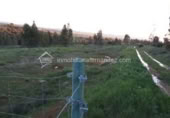 Land suitable for development for sale on España, Cáceres, ref: TR116752 photo