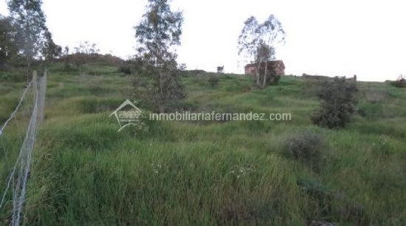 Cáceres - Cáceres - 2500m2