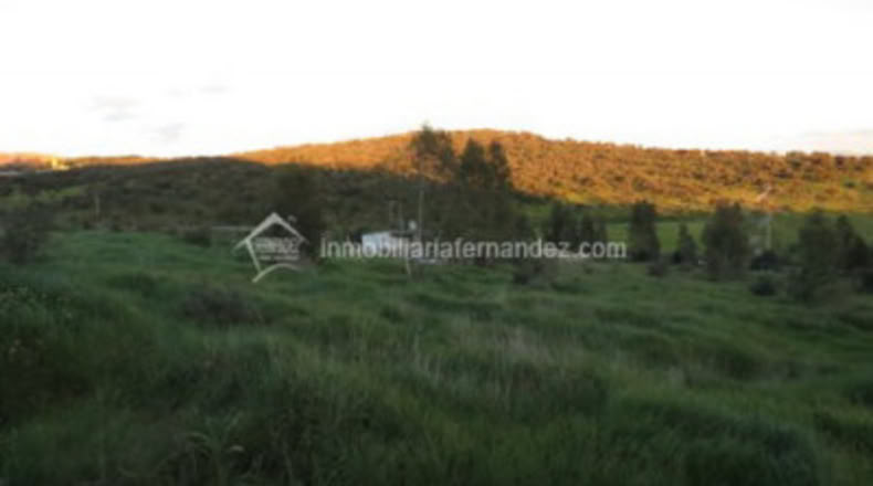 Cáceres - Cáceres - 2500m2