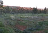 Land suitable for development for sale on España, Cáceres, ref: TR116752 photo