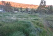 Land suitable for development for sale on España, Cáceres, ref: TR116752 photo